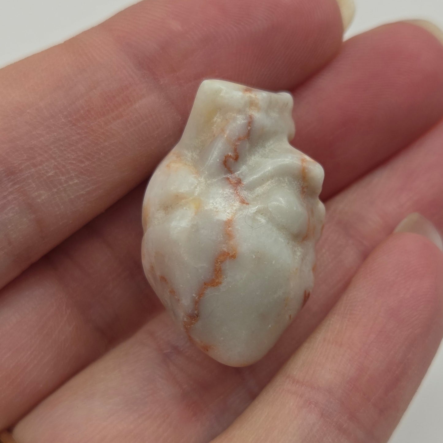 Anatomical heart carvings (small)