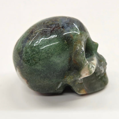 Skull small - Variety of material