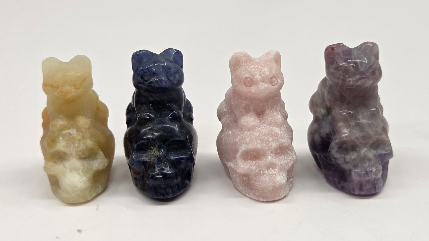 Cat/kitty sitting on skull (mini)