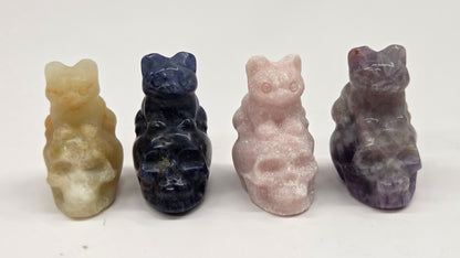 Cat/kitty sitting on skull (mini)