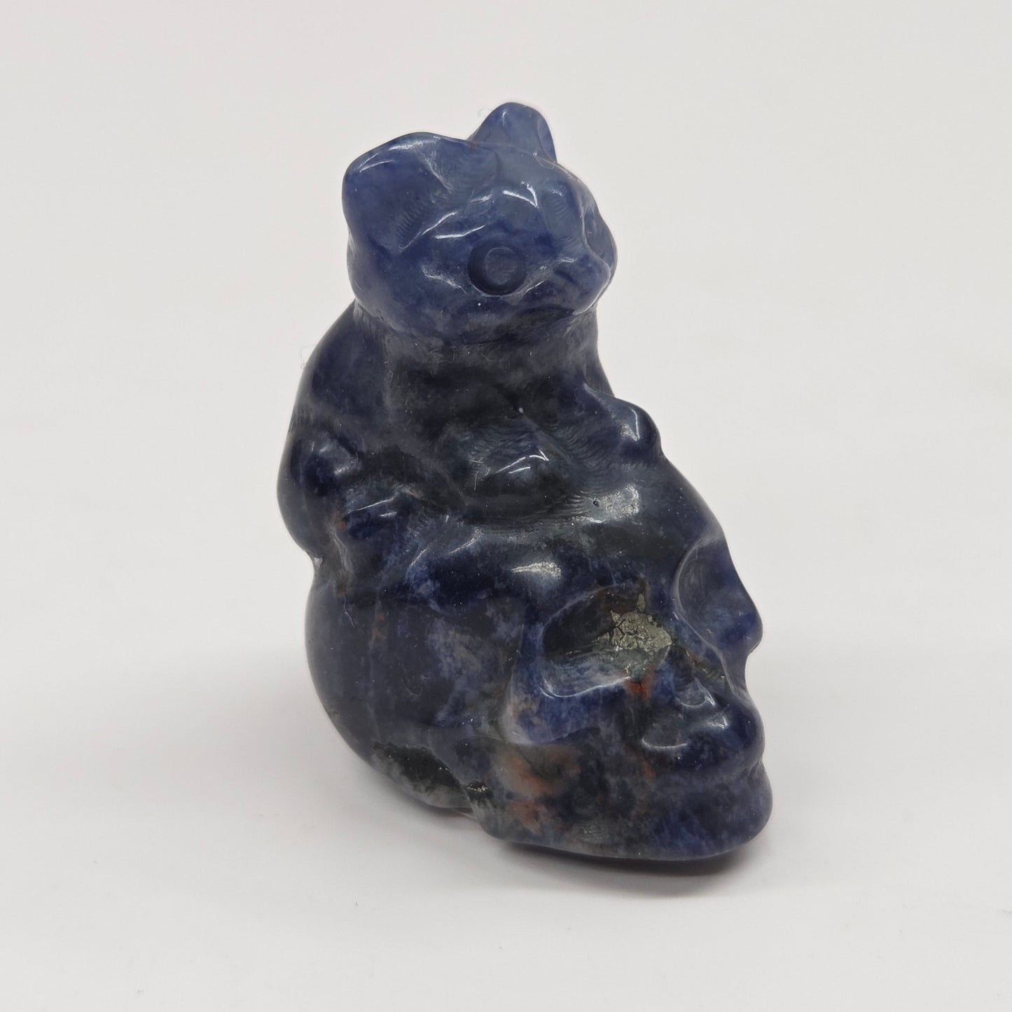 Cat/kitty sitting on skull (mini)