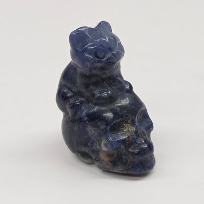 Cat/kitty sitting on skull (mini)