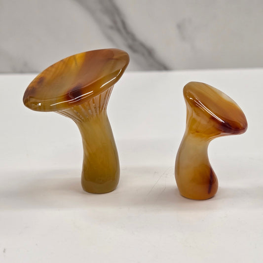 Agate mushroom