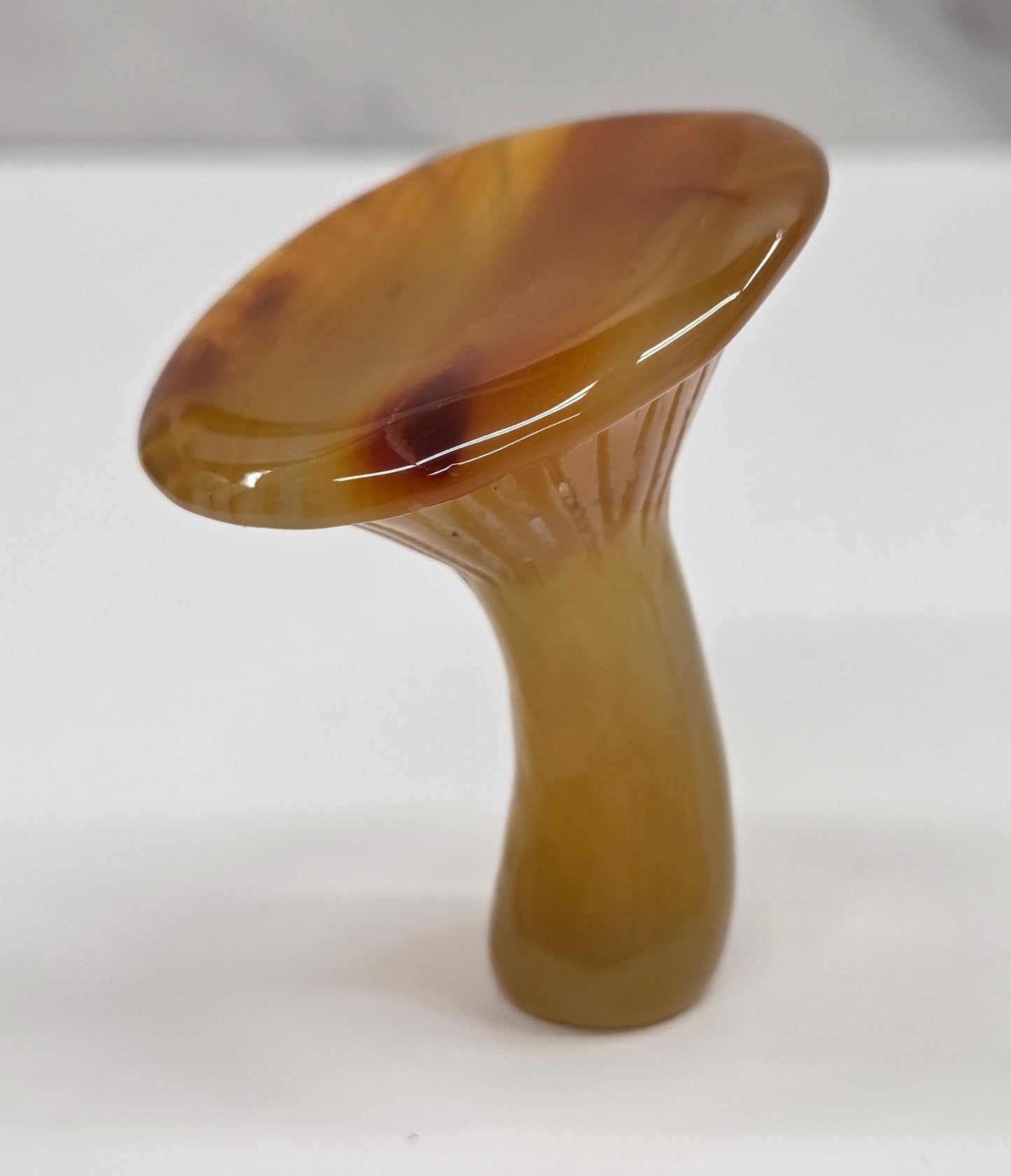 Agate mushroom