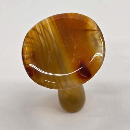 Agate mushroom