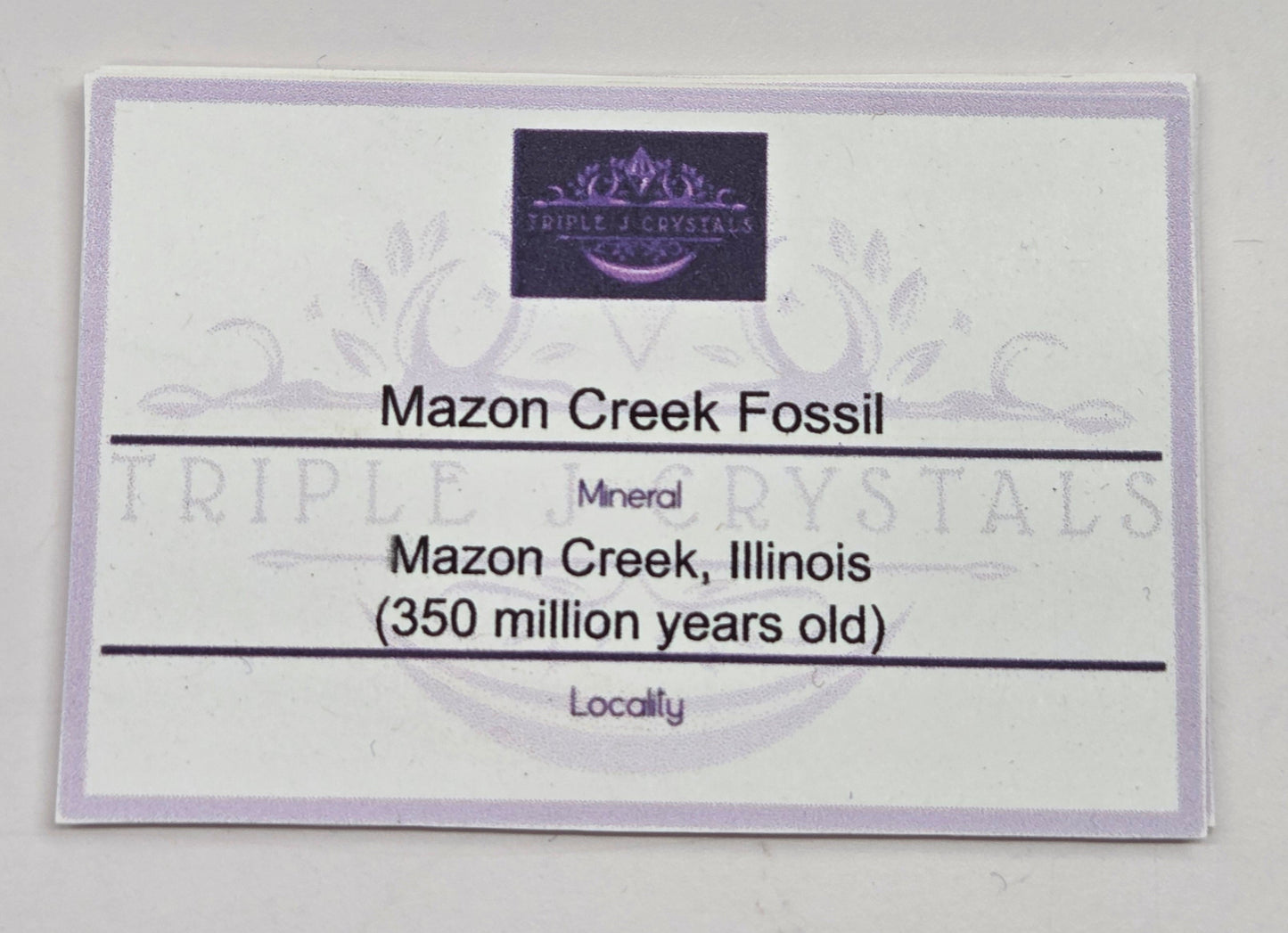 Mazon Creek fossils
