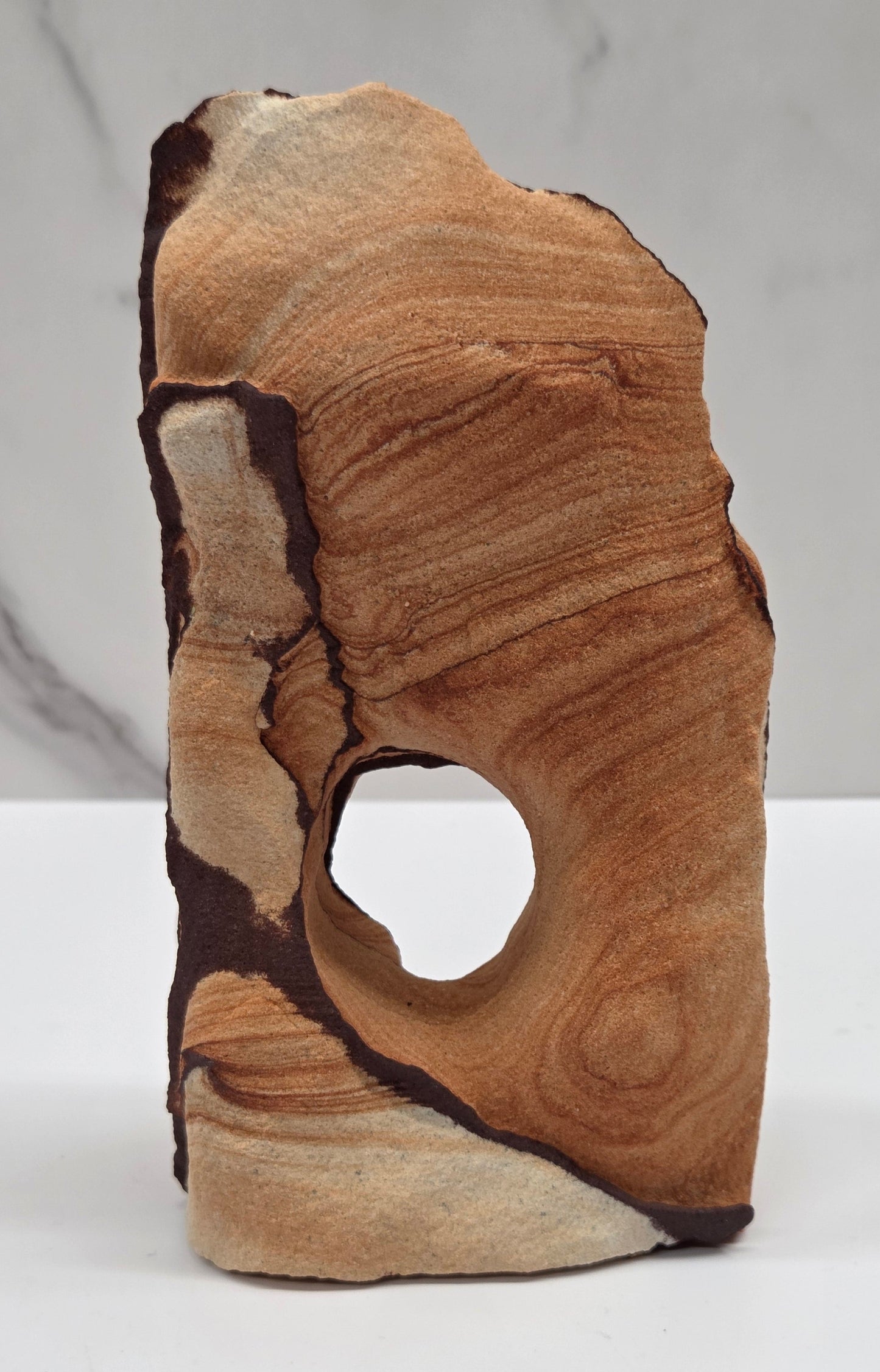 Picture Sandstone (Arizona Sierra) free form