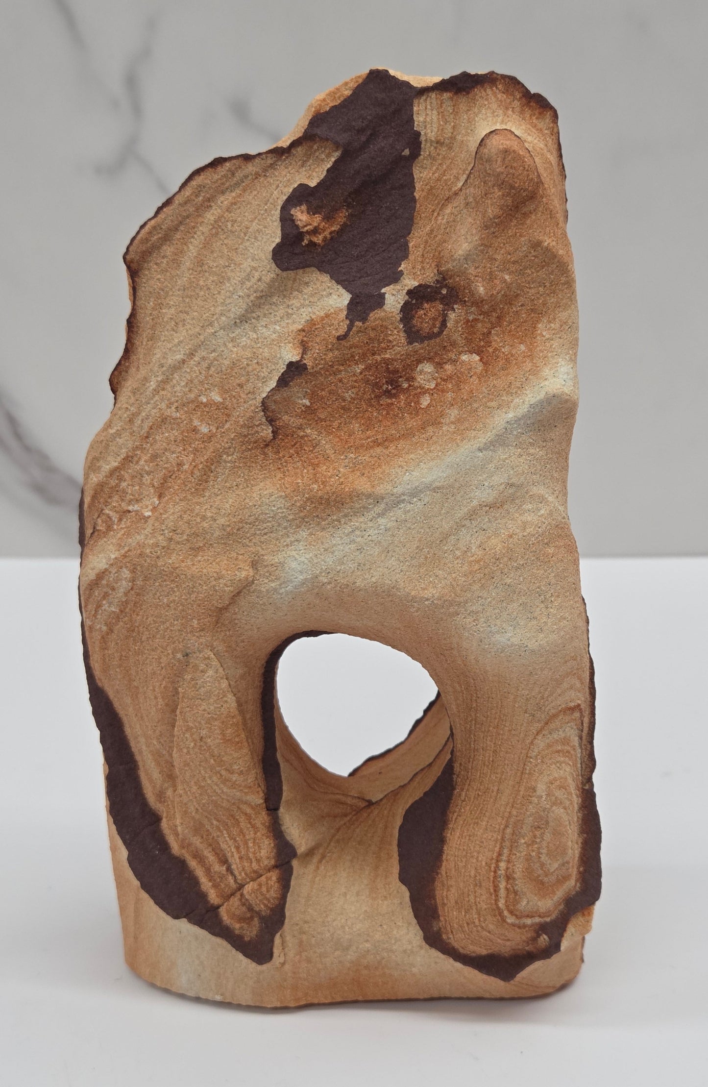 Picture Sandstone (Arizona Sierra) free form