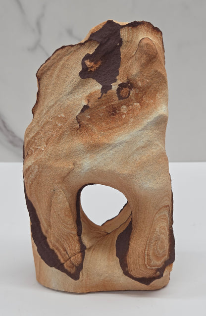 Picture Sandstone (Arizona Sierra) free form