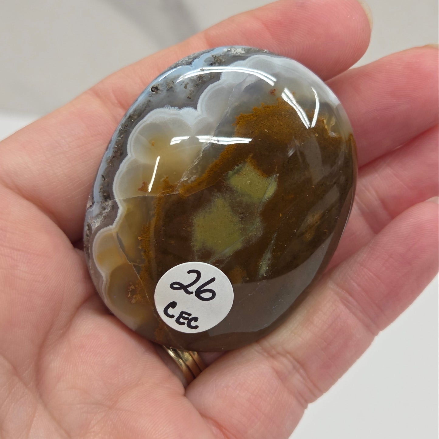 Palm - Scenic Moss Agate
