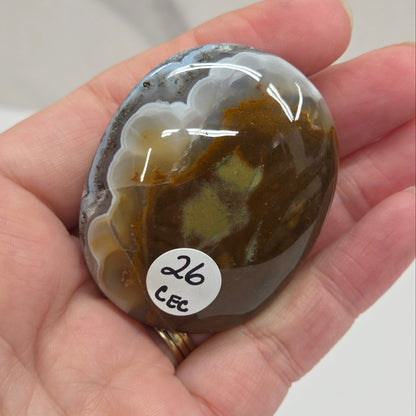 Palm - Scenic Moss Agate