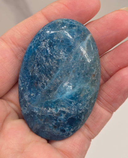 Palm - Blue Apatite