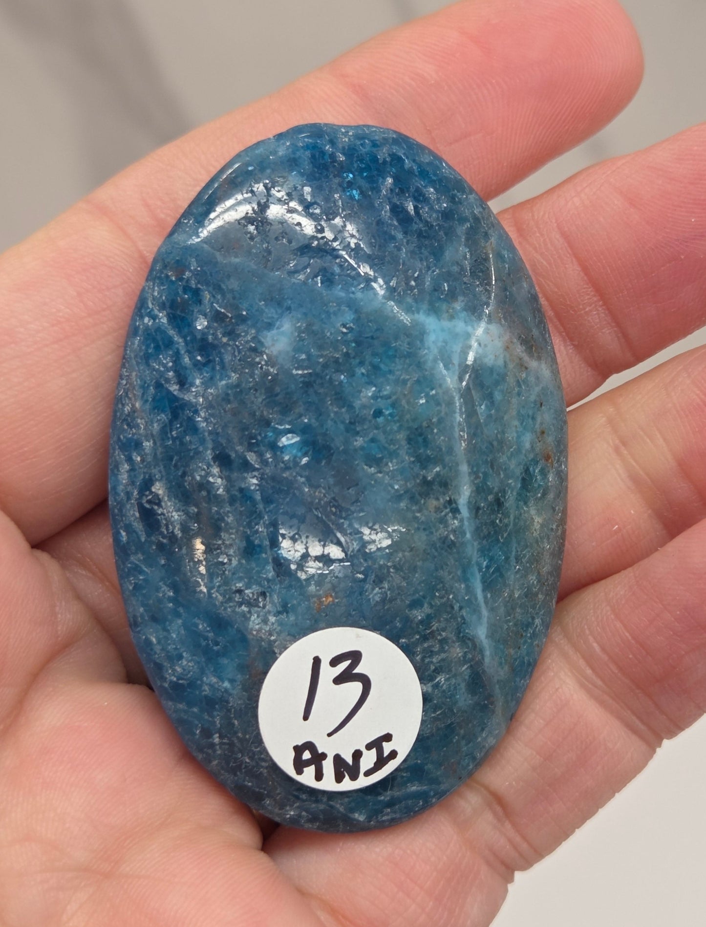 Palm - Blue Apatite