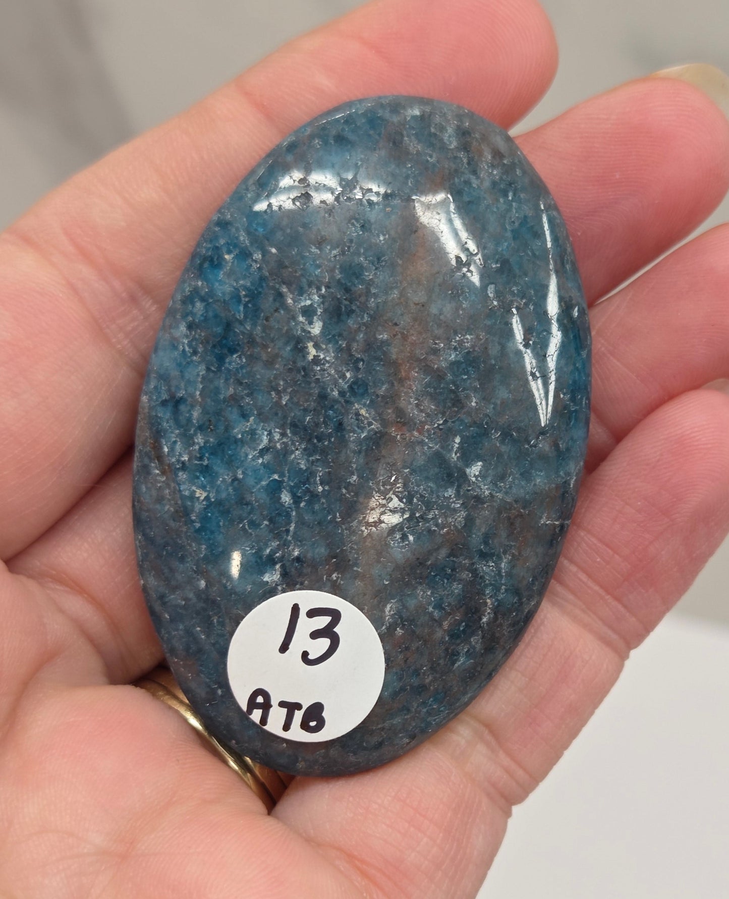 Palm - Blue Apatite