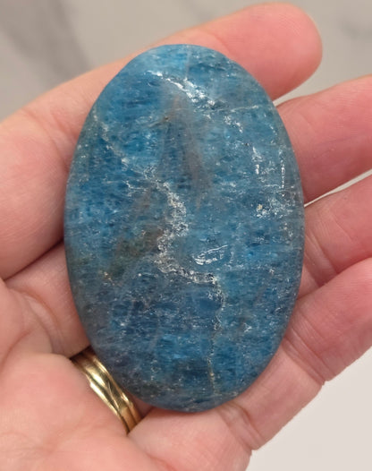 Palm - Blue Apatite