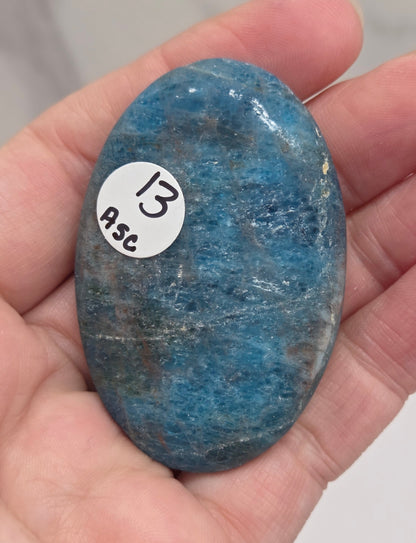 Palm - Blue Apatite