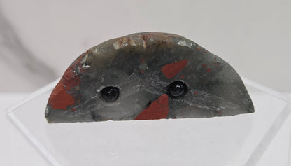 Hedgie - African Bloodstone