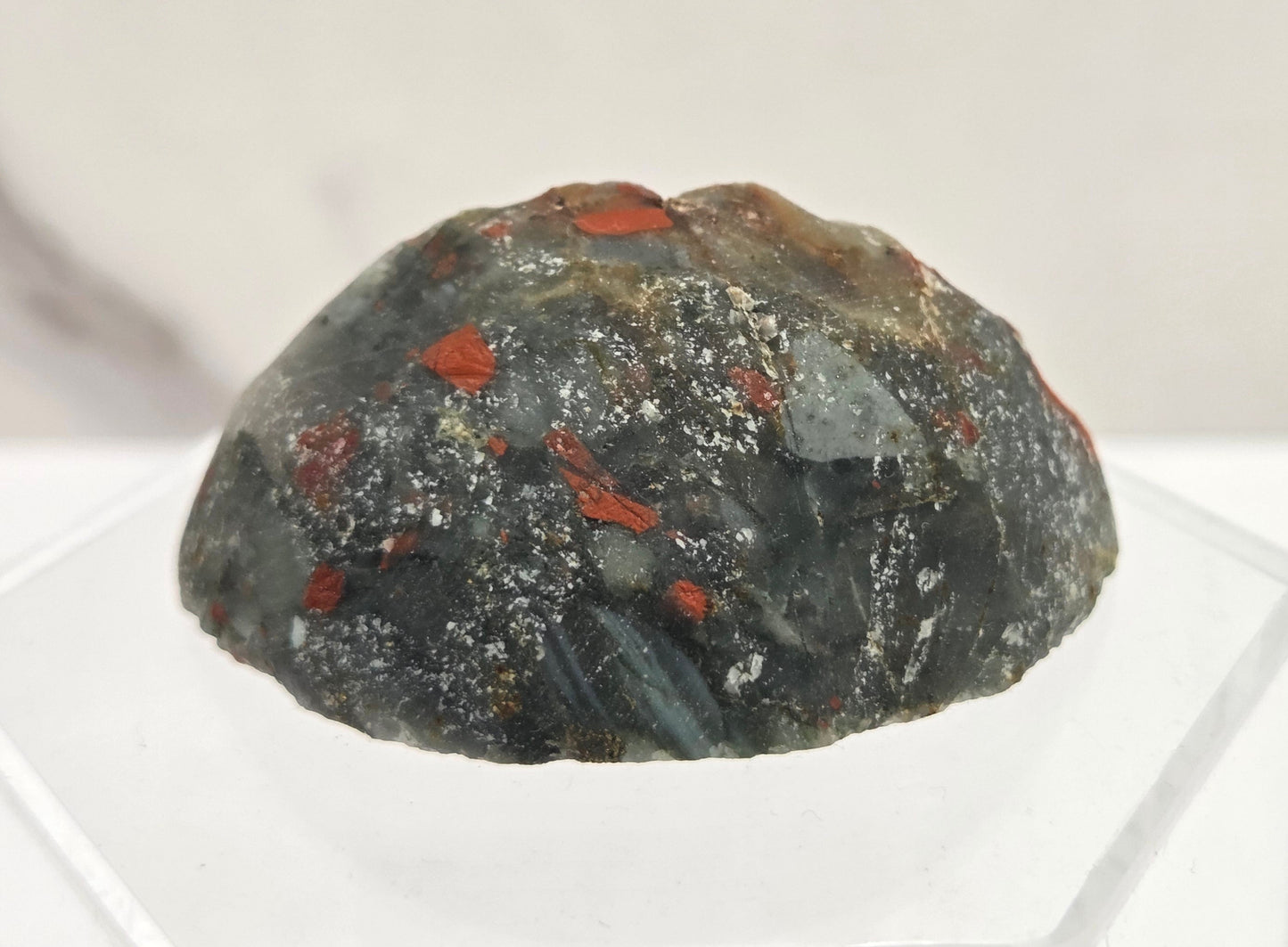 Hedgie - African Bloodstone