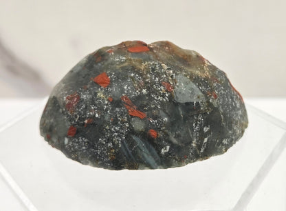 Hedgie - African Bloodstone