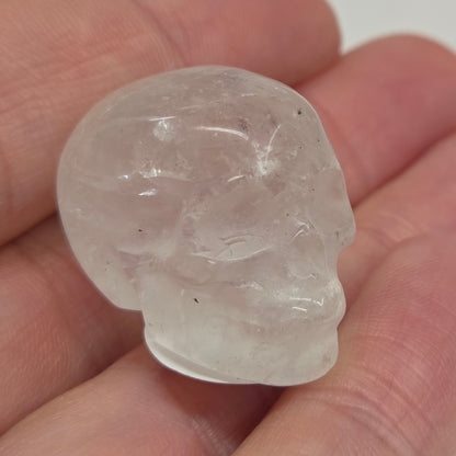 Skull xsmall/mini - Variety of material