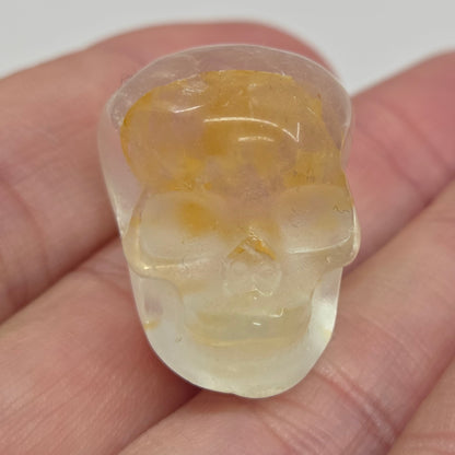 Skull xsmall/mini - Variety of material