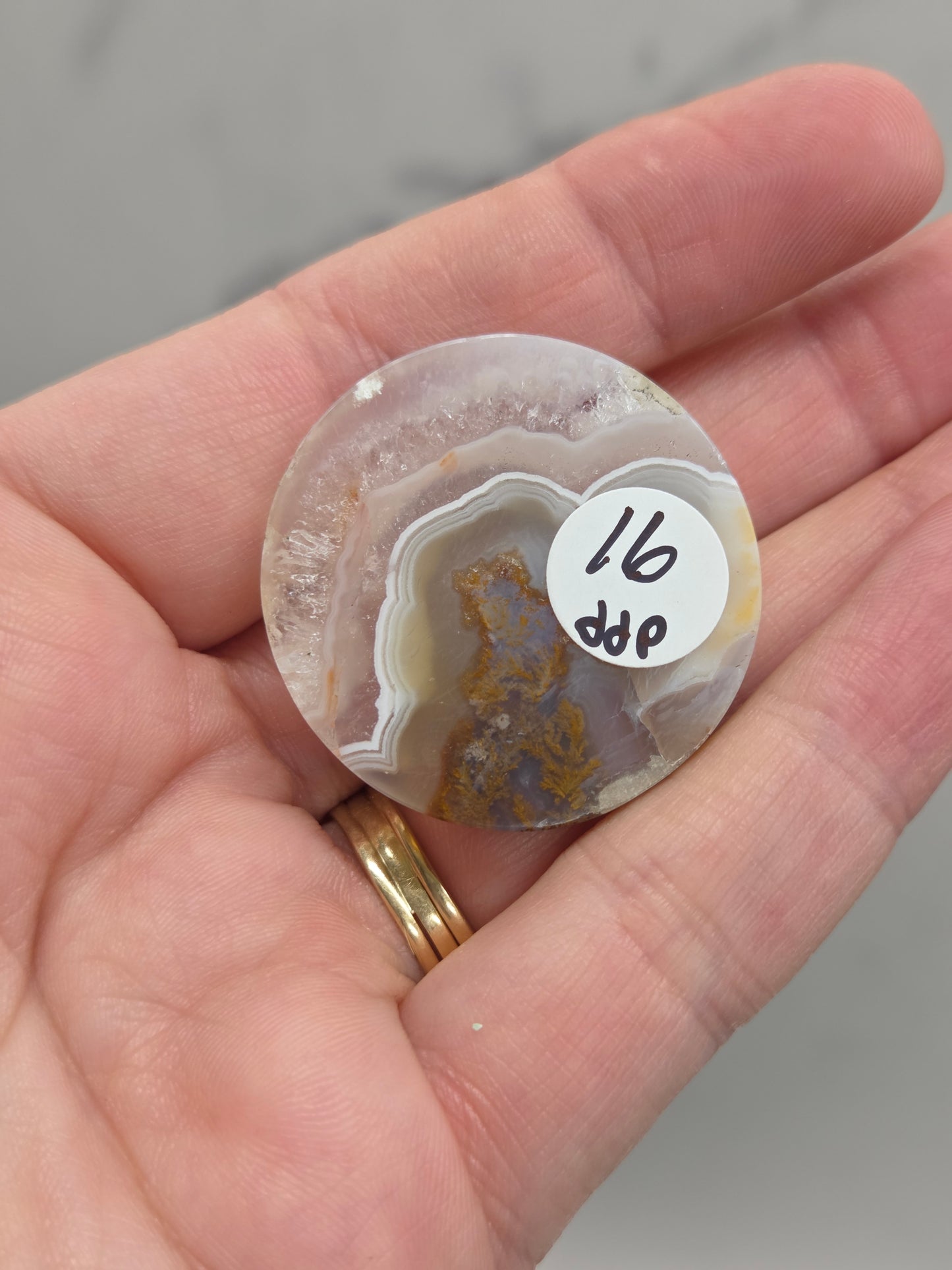 Scenic Moss Agate cabachons