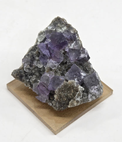 Osito mine Fluorite