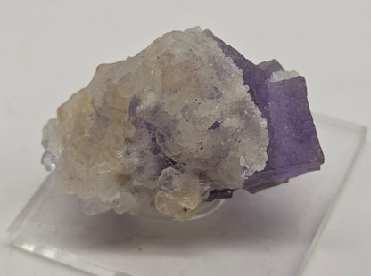 Osito mine Fluorite