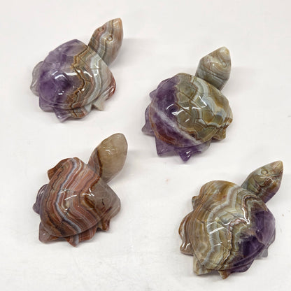 Sea turtle - Amethyst w/ Agate
