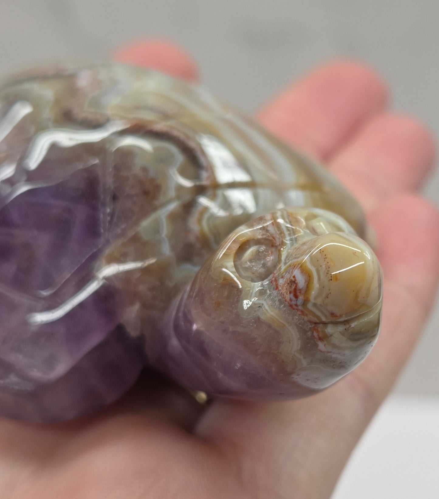 Sea turtle - Amethyst w/ Agate