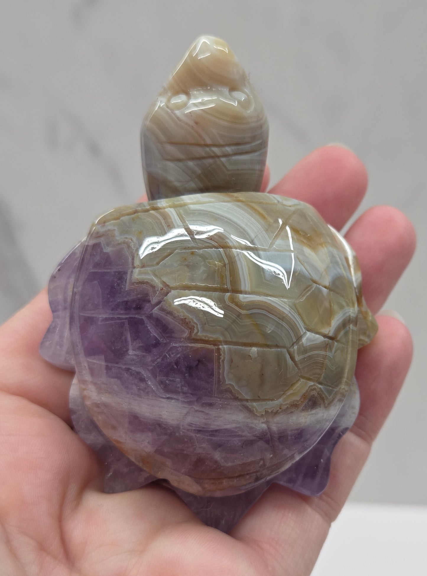 Sea turtle - Amethyst w/ Agate