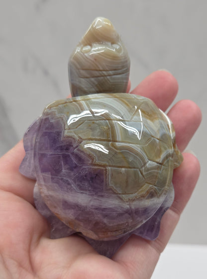 Sea turtle - Amethyst w/ Agate