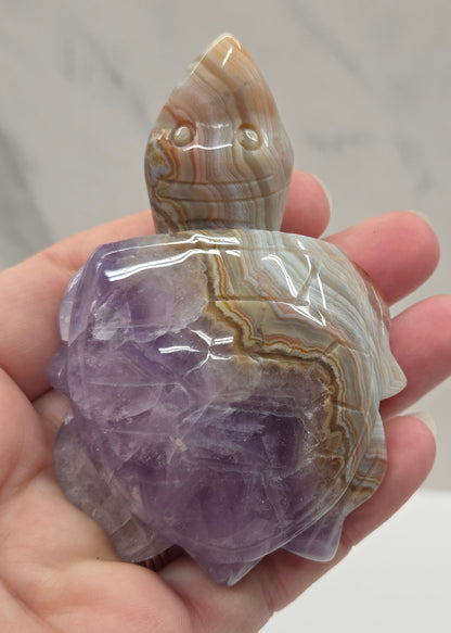 Sea turtle - Amethyst w/ Agate