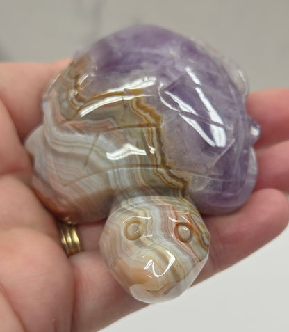 Sea turtle - Amethyst w/ Agate