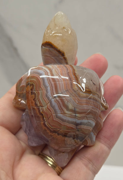 Sea turtle - Amethyst w/ Agate