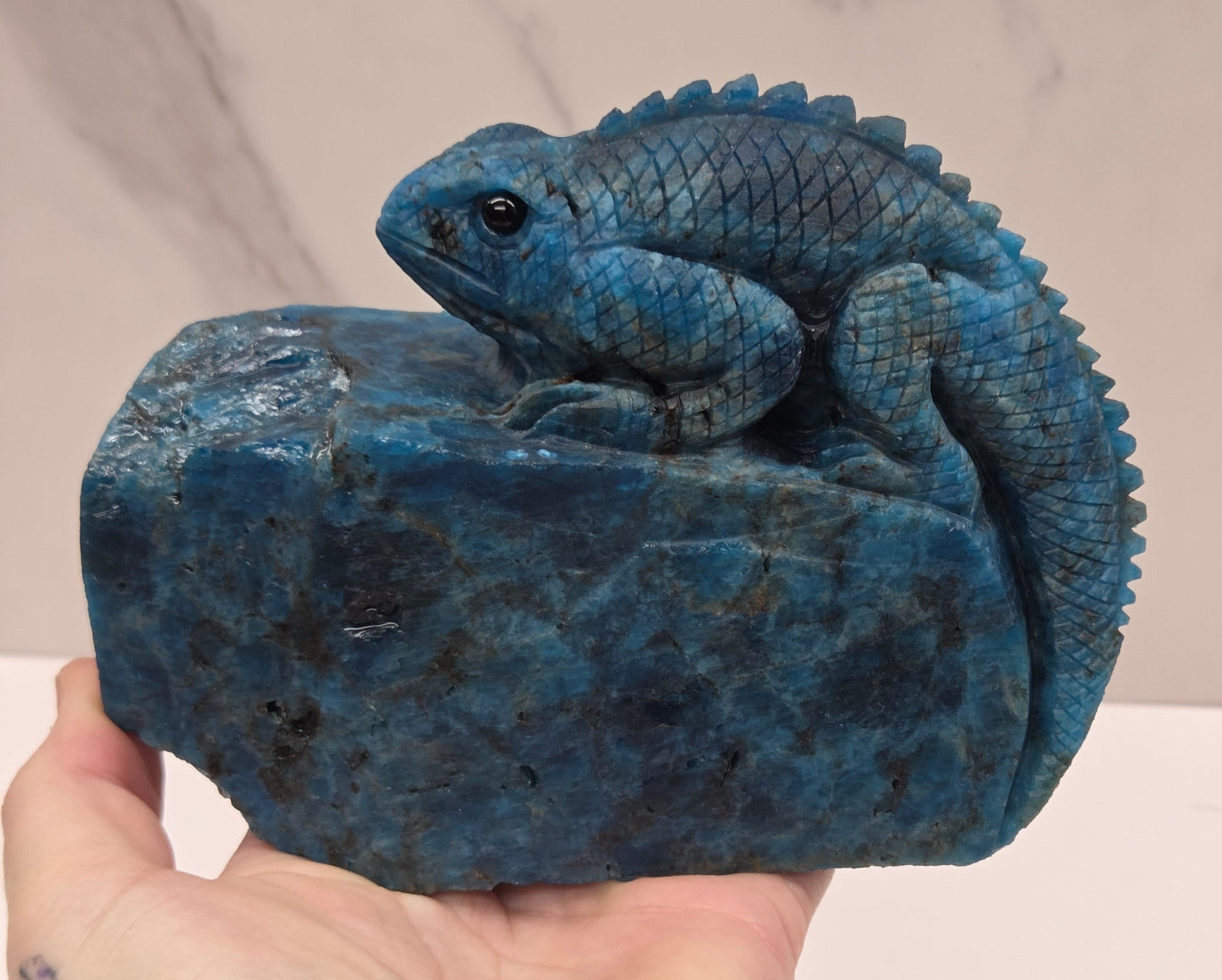 Lizard carving (L) - Blue Apatite