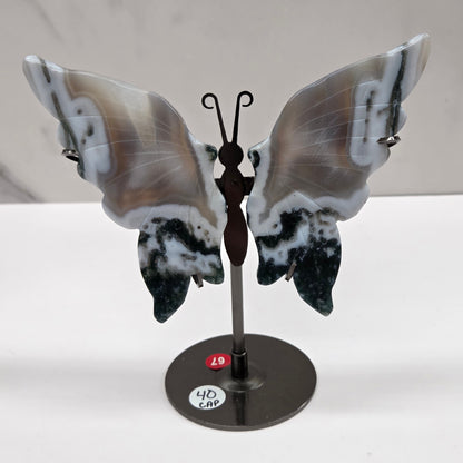 Wings - butterfly - variety of materials (M)