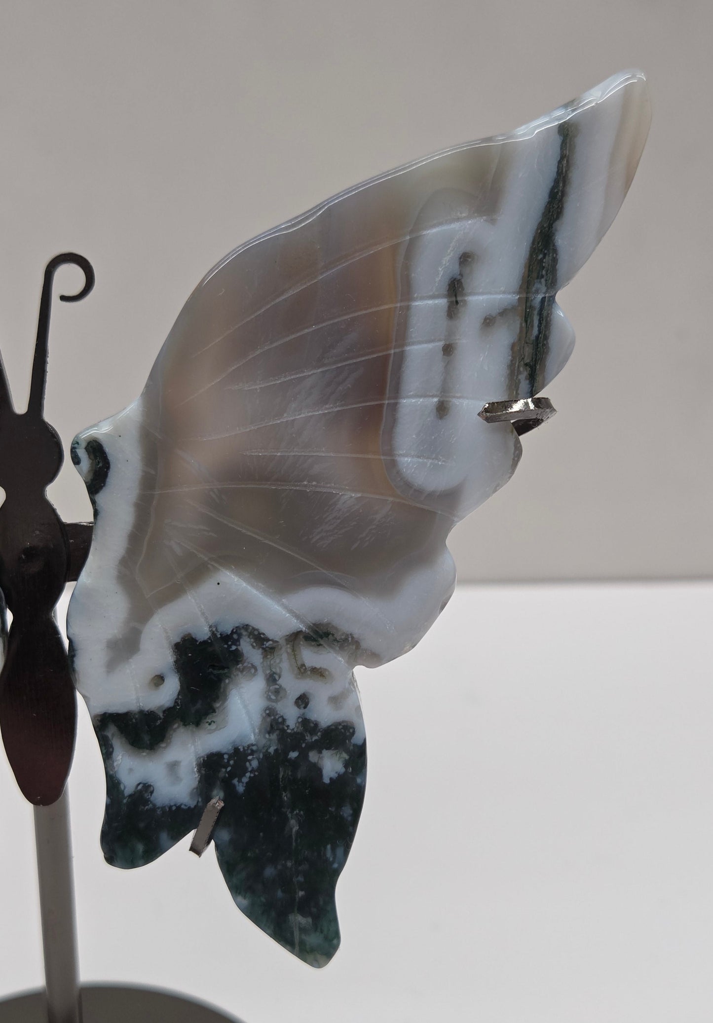 Wings - butterfly - variety of materials (M)