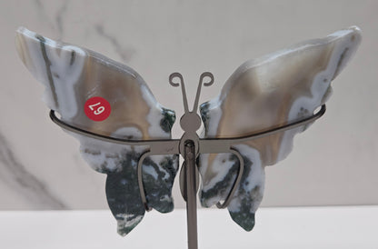 Wings - butterfly - variety of materials (M)