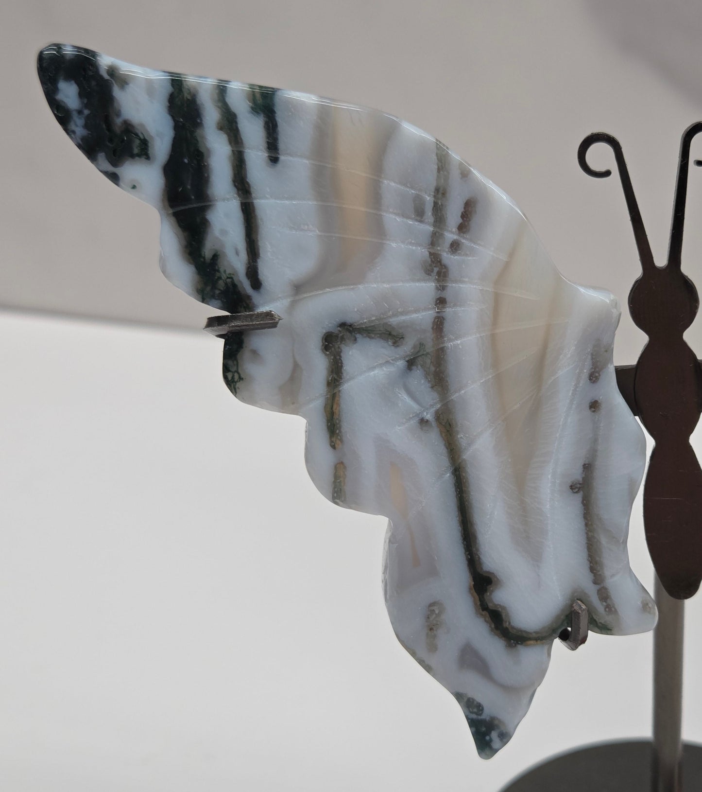 Wings - butterfly - variety of materials (M)