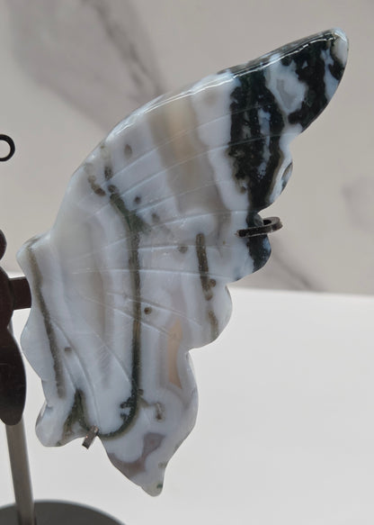 Wings - butterfly - variety of materials (M)