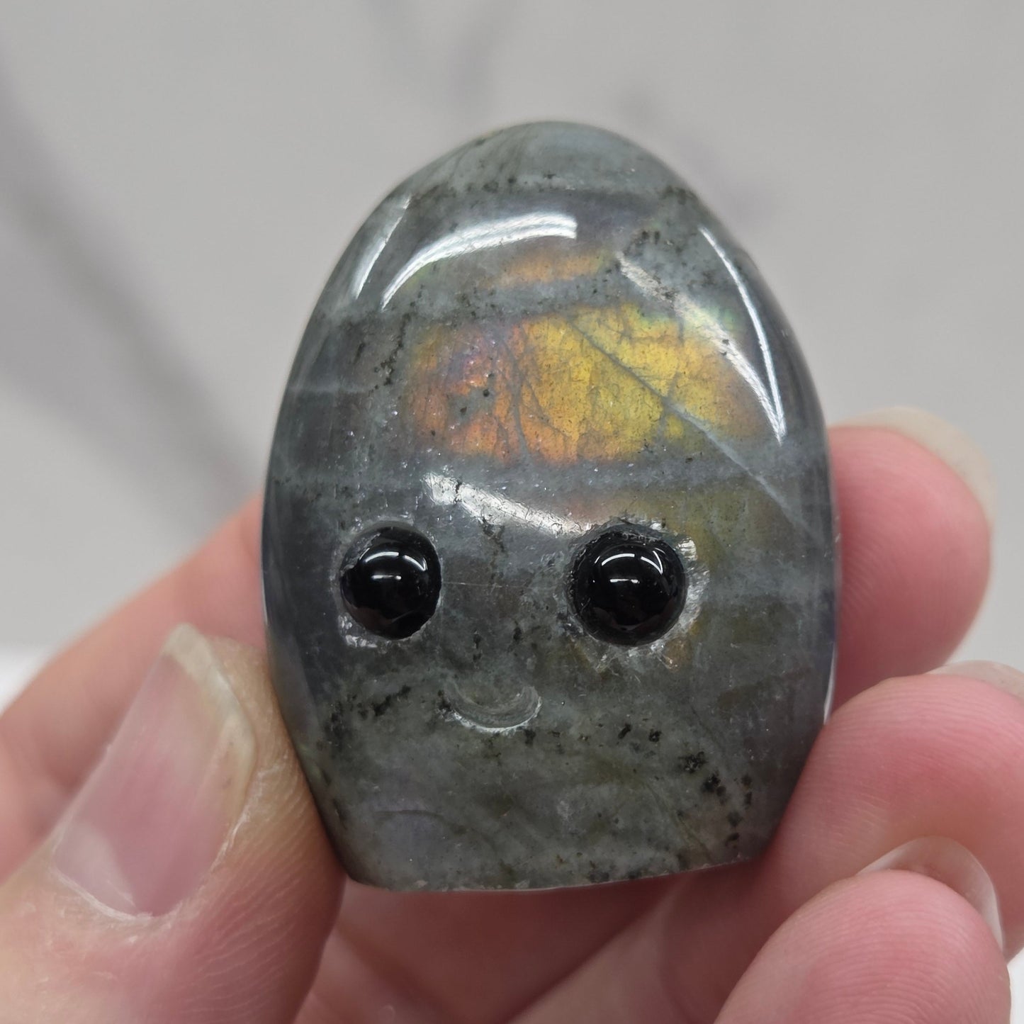 Hedgie - Labradorite