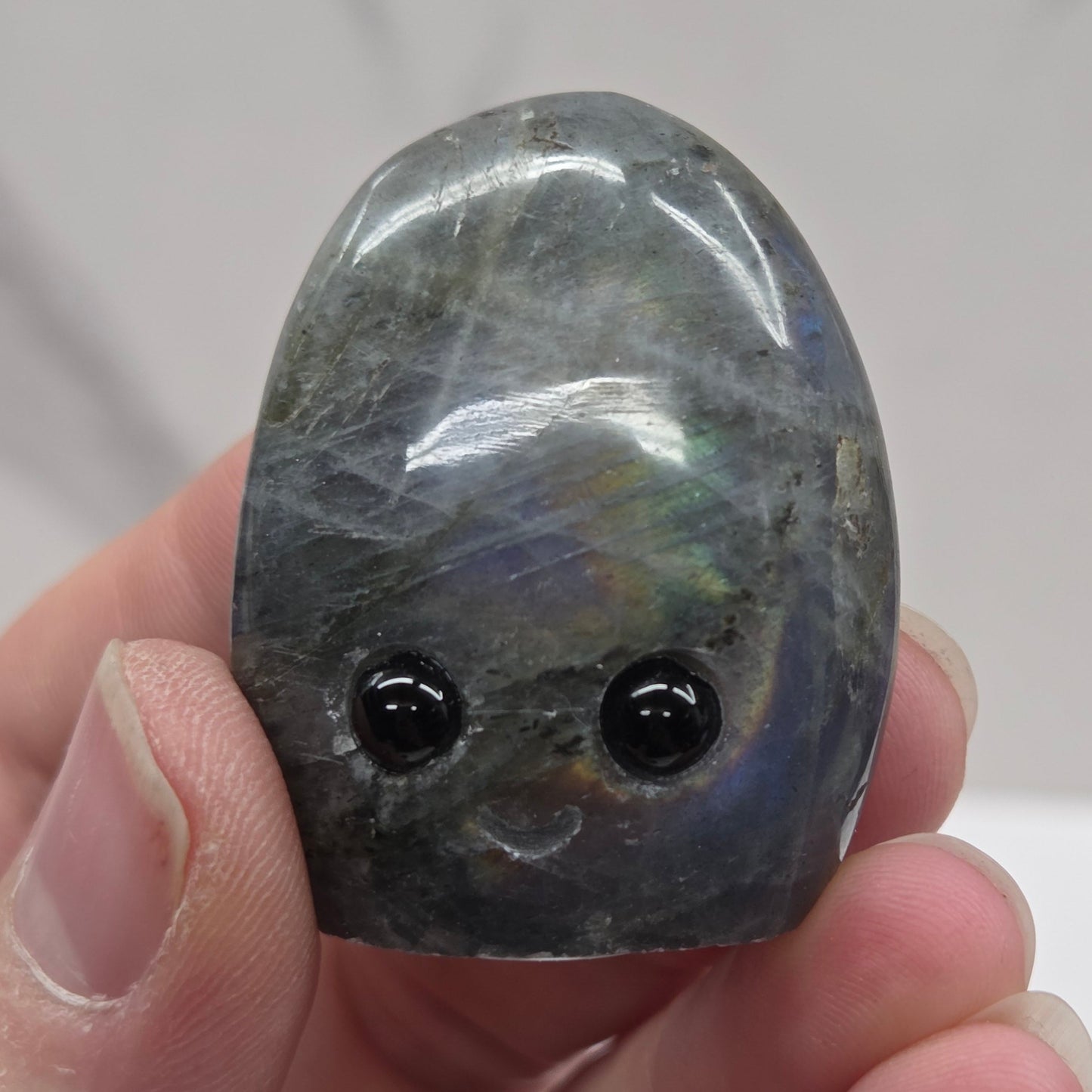 Hedgie - Labradorite