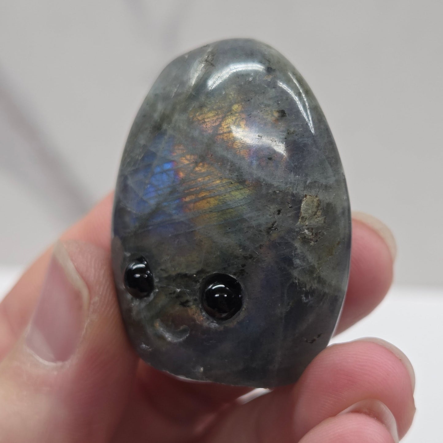Hedgie - Labradorite