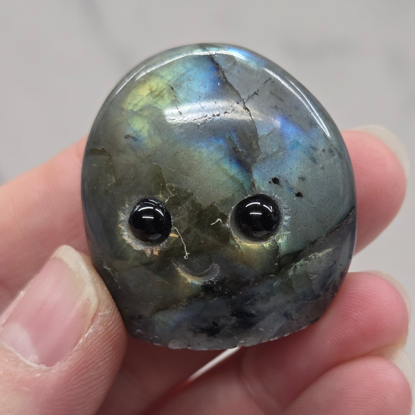 Hedgie - Labradorite