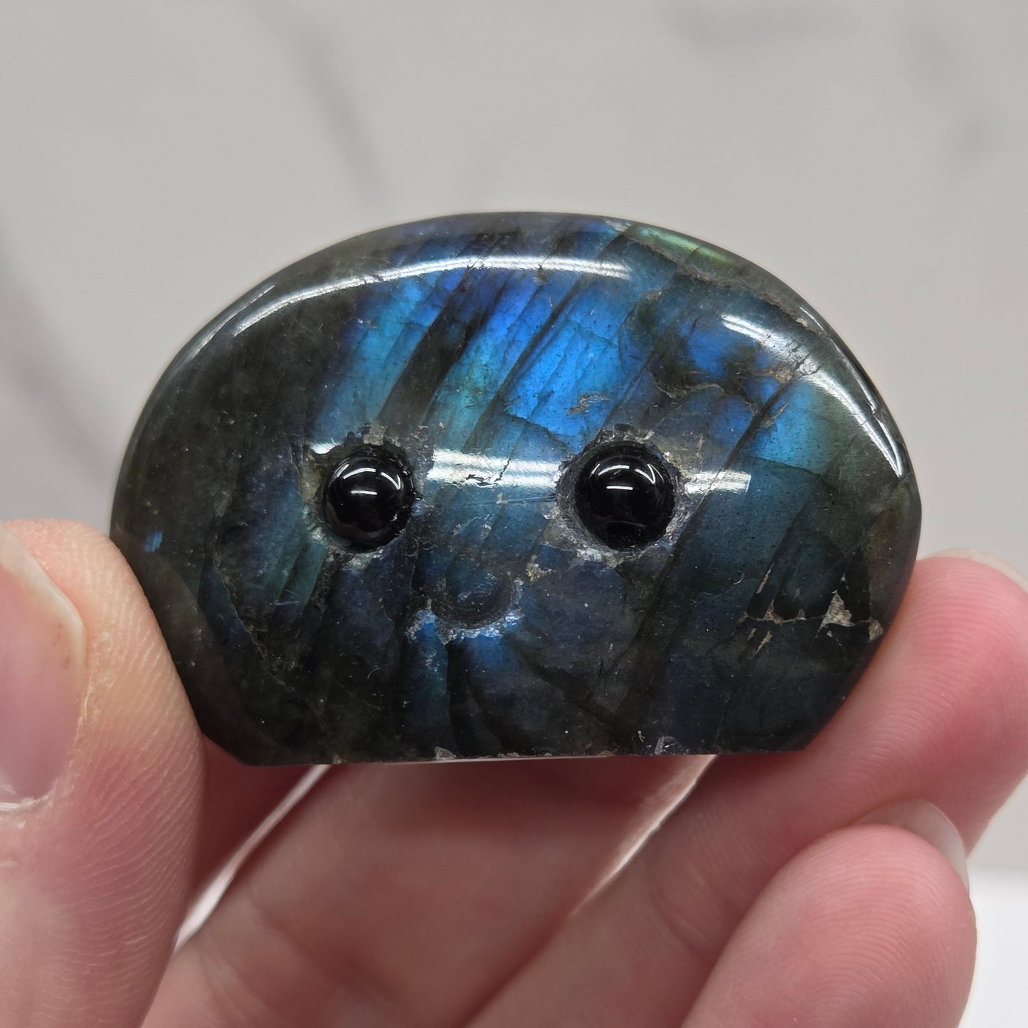 Hedgie - Labradorite