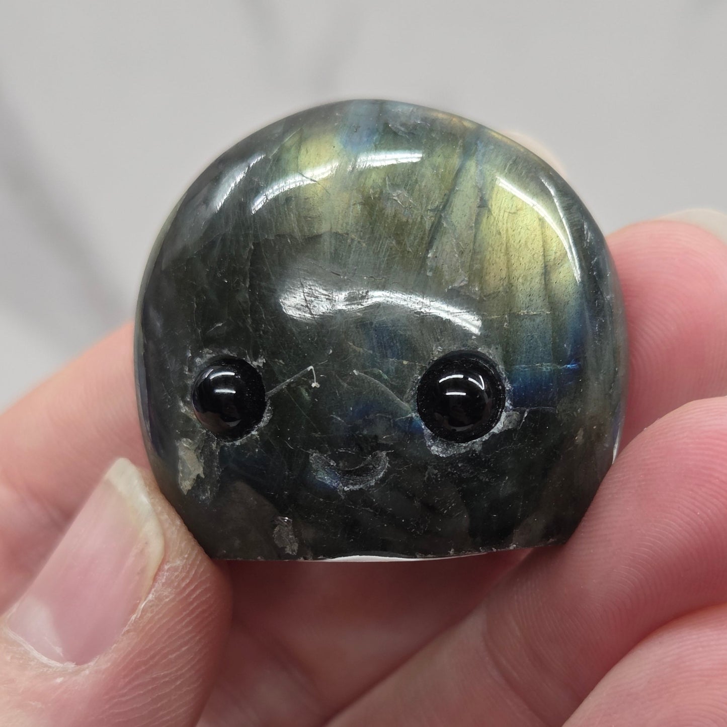 Hedgie - Labradorite