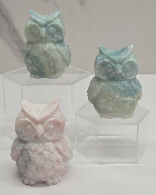 Owl (Tootsie Pop) carving (M)