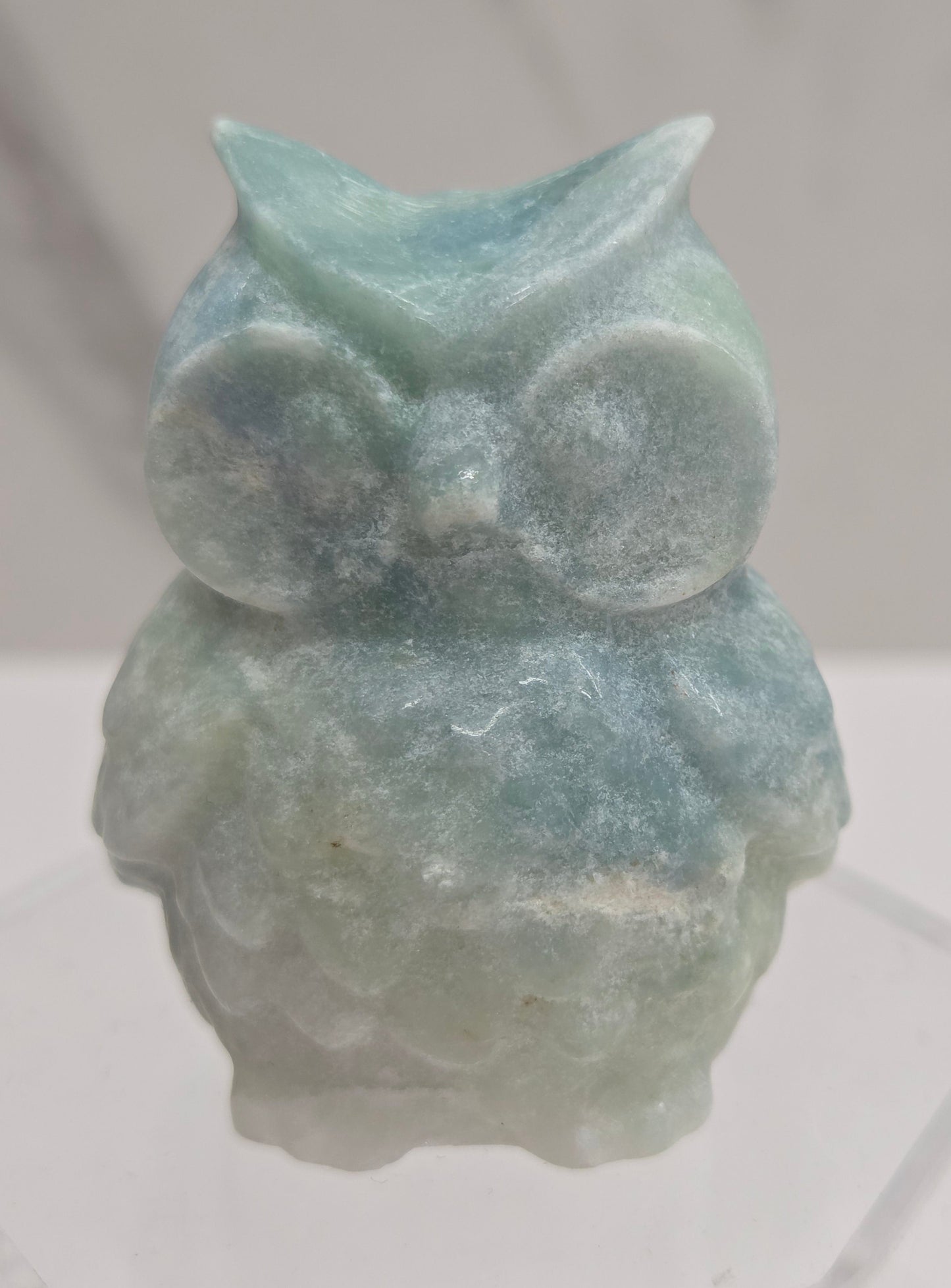 Owl (Tootsie Pop) carving (M)