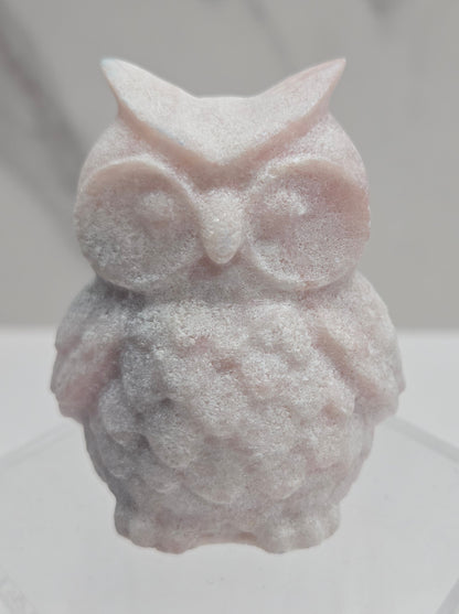 Owl (Tootsie Pop) carving (M)